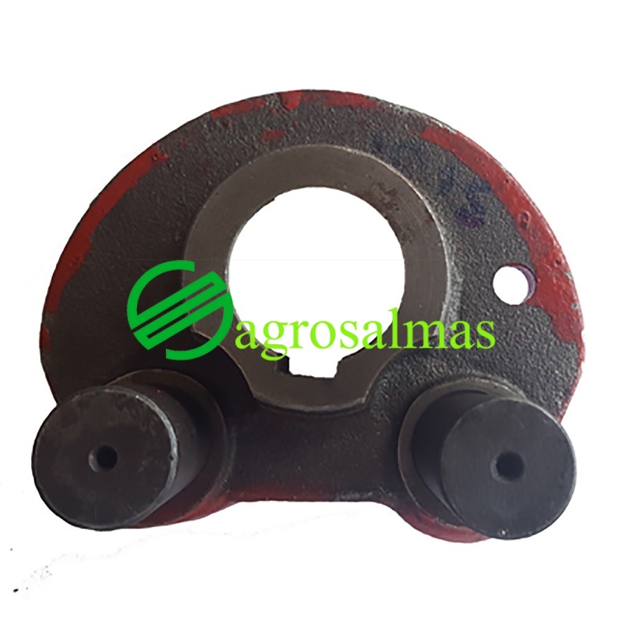 Σώμα Καστάνιας Δετικού