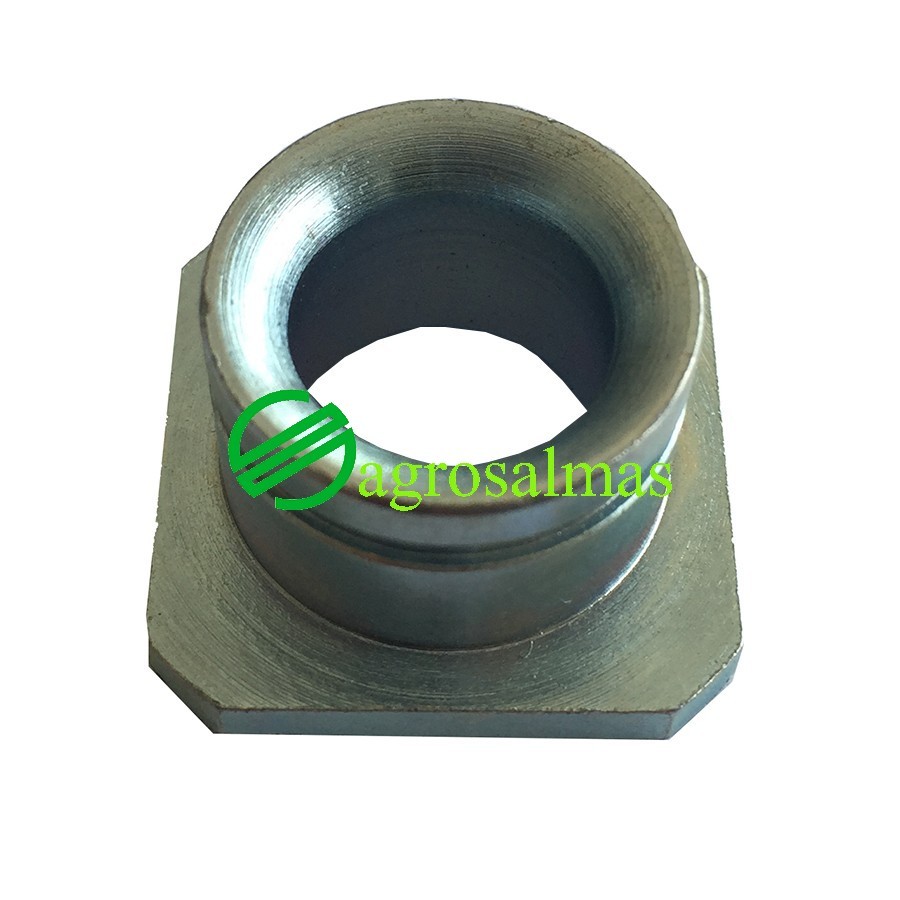 Πορσελάνη (Θηλειά) Δετικού Σπάγγου