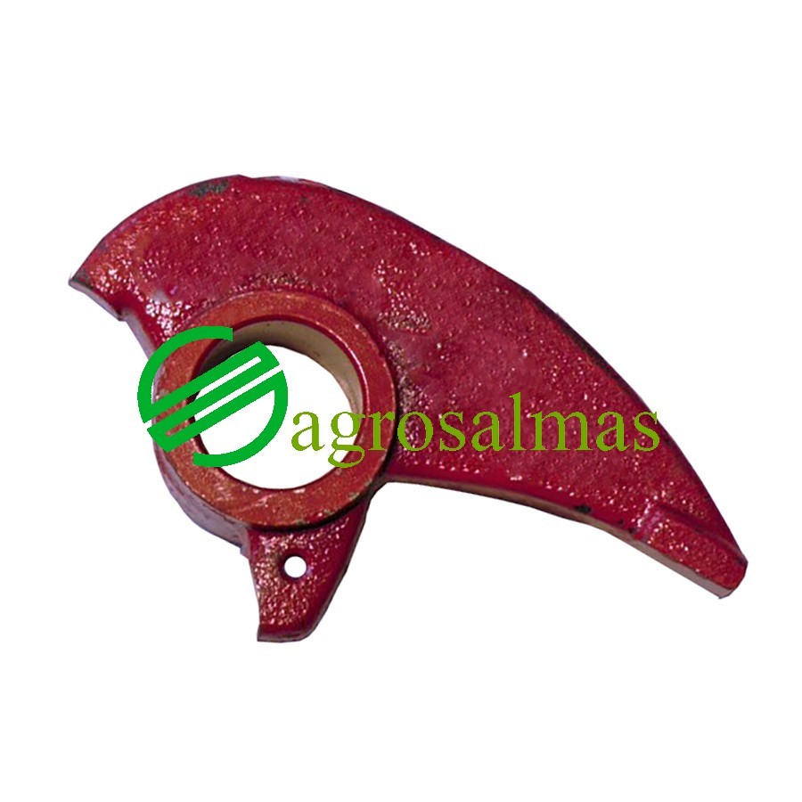 Γλώσσα Καστάνιας Δετικού μεγάλη