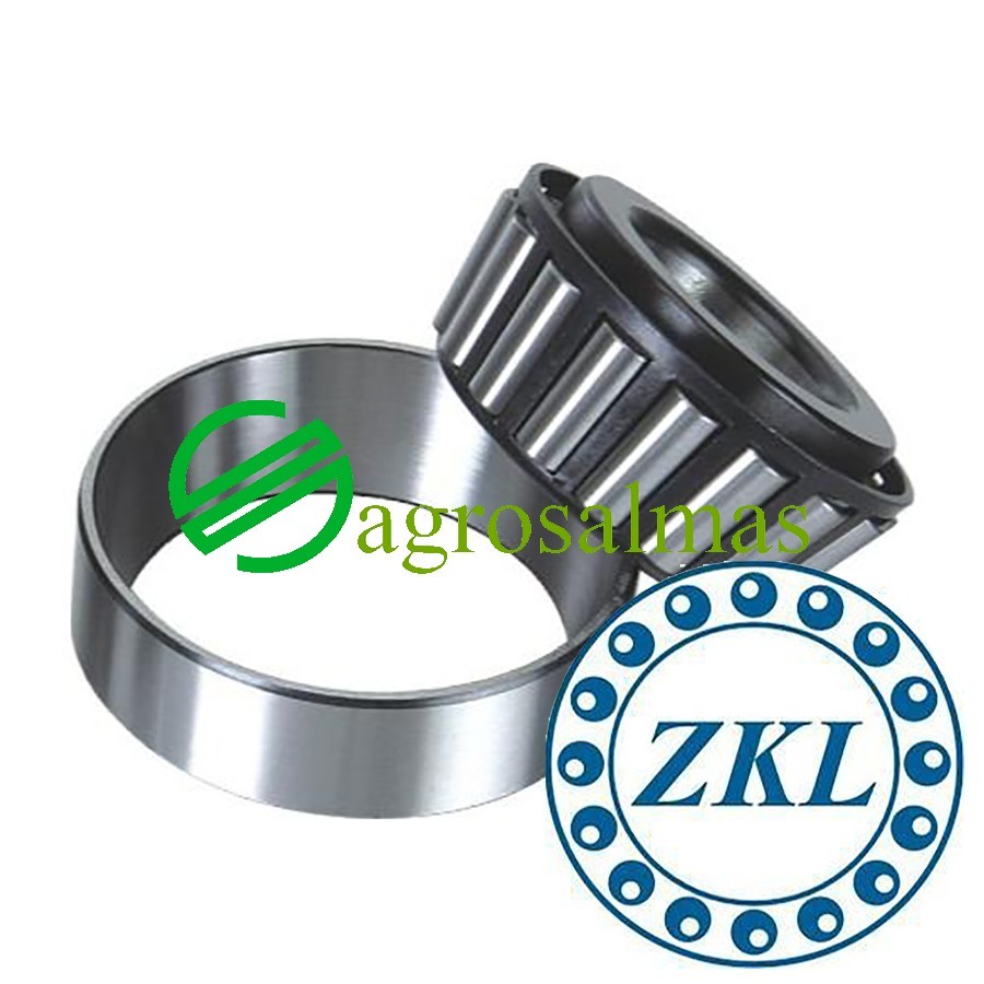 30208 Κώνικο Ρουλεμάν ZKL