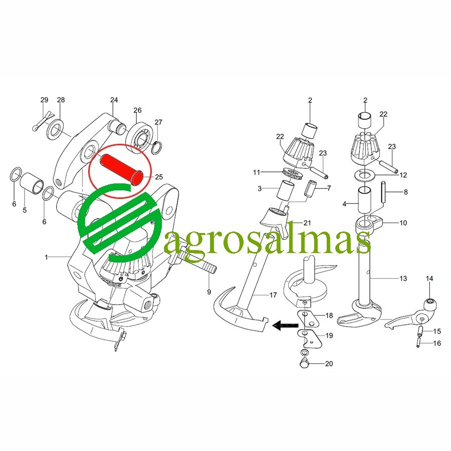 Πείρος Βάσης Δετικού