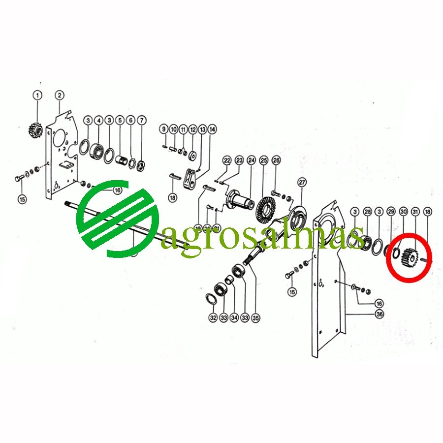 Γρανάζι κίνησης CLAAS Markant
